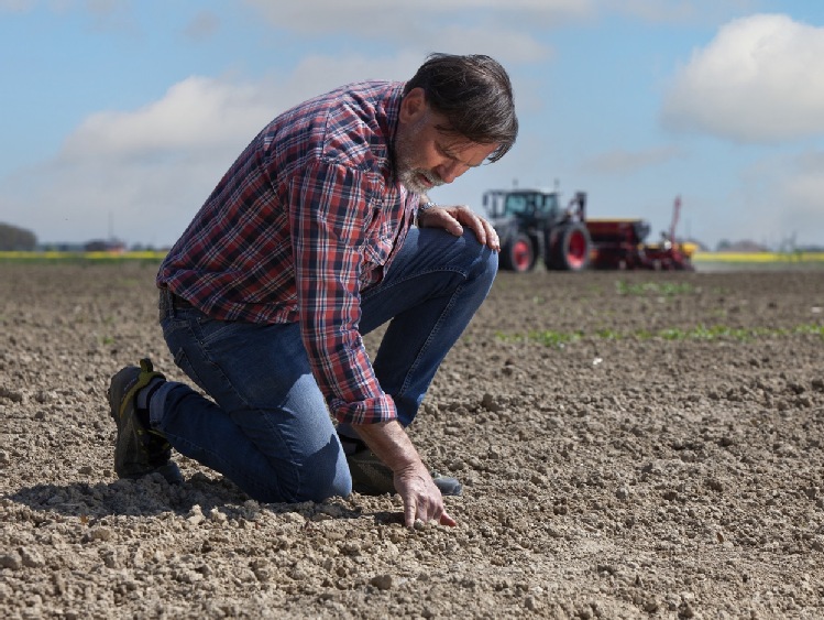 Tajemnice gleby napędzają innowacje w ochronie upraw